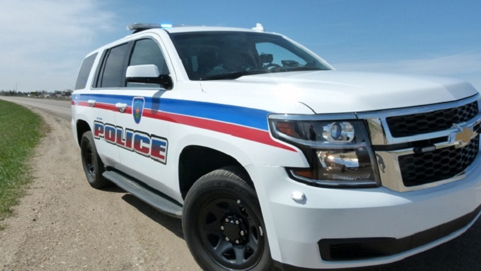 Stolen license plate linked to theft WPS Local